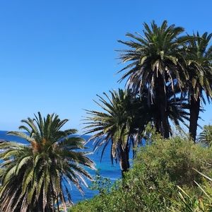 Meet your Posher, Charlotte